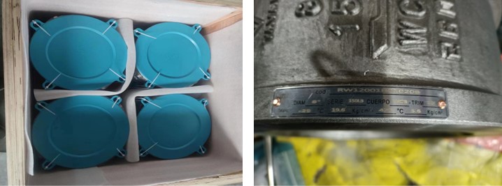 WCB 8" 150LB Dual Plate Lug Type Wafer Check Valve API594